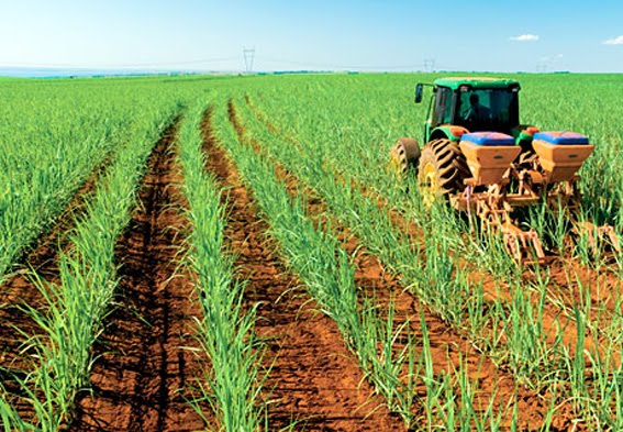 Produção de açúcar do Brasil em 2016/17 deverá ser 19% superior à safra passada