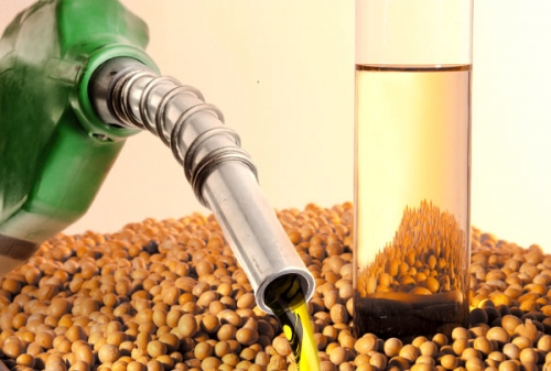 Maior adição de biodiesel gera novas oportunidades para MT  
