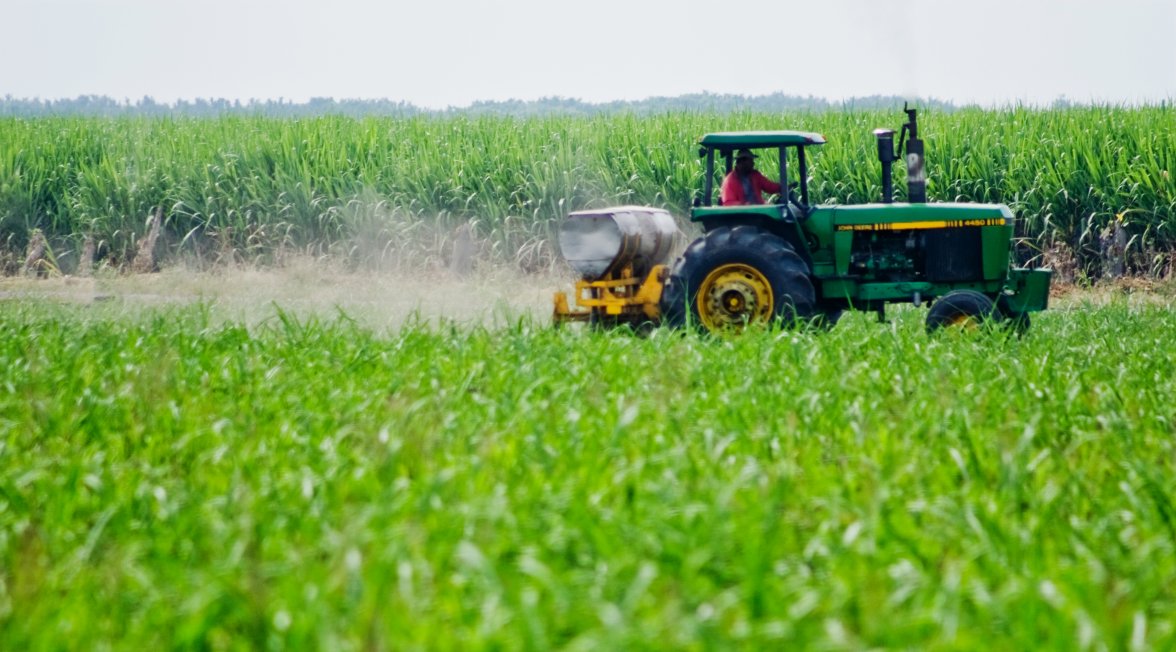 Exportações do agronegócio crescem 3% em agosto