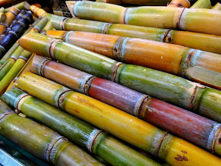 Preços do açúcar fecham mistos nos mercados internacionais  