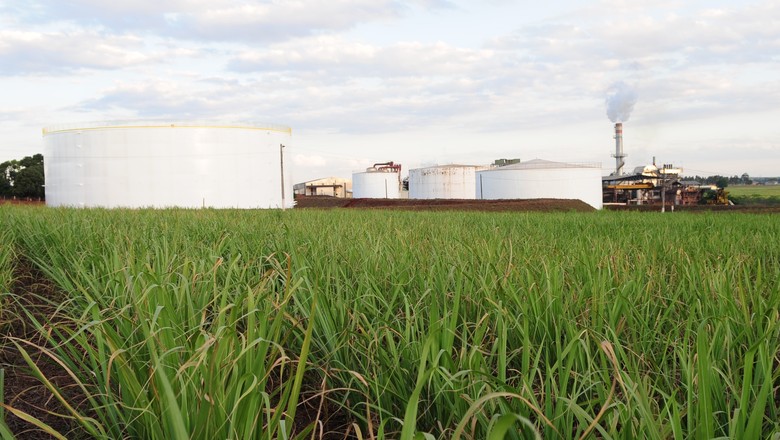 Geadas voltam a atingir plantações de cana do Paraná, mas impacto é limitado