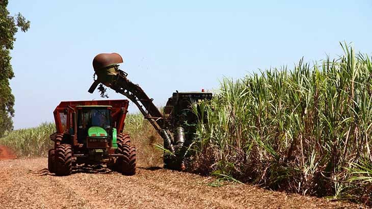 Nova safra de cana do centro-sul deve crescer com clima favorável, diz Datagro