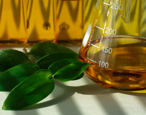 Setor do biodiesel apresenta ao governo propostas para mercado de energia